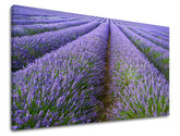Ζωγραφική τοίχου LANDSCAPE KR039E11